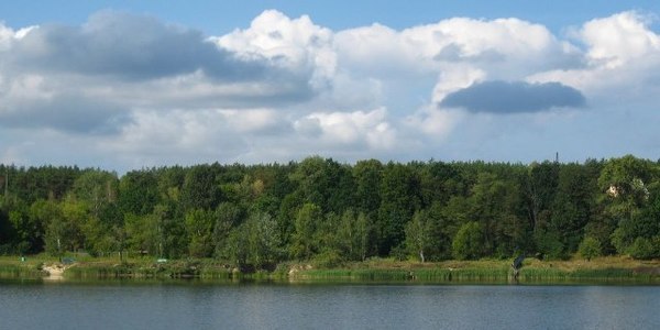У Києві відкриють дитячу школу рибалок на озері Редчиному