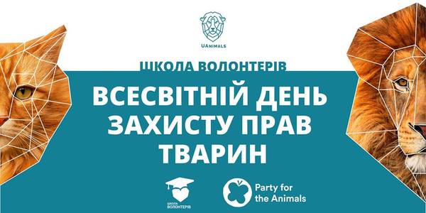 У Києві вперше пройде «Школа волонтерів», присвячена захисту тварин