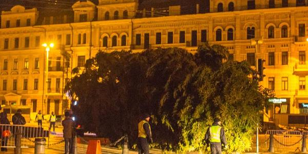Новорічна ялинка нарешті дісталася Софійської площі [фото]