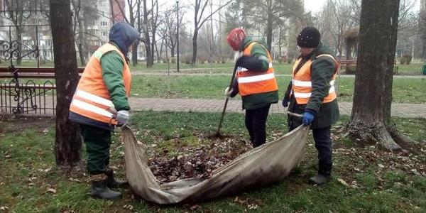 У Києві досі збирають забруднене токсинами листя