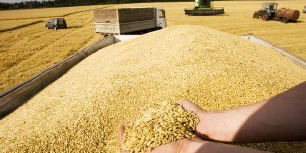 Сільгоспвиробники збираються мітингувати у столиці