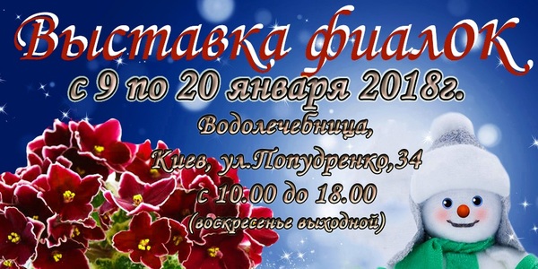 Киян запрошують на різдвяну виставку фіалок