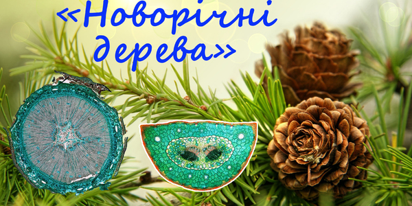 Киян запрошують на лекцію про екзотичні хвойні дерева