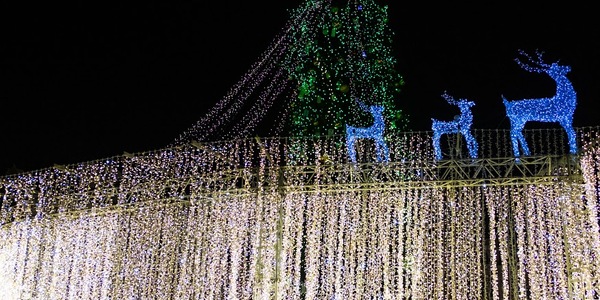 Хода «звіздарів» і концерт: Київ святкує Різдво