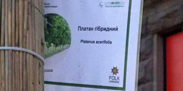На Хрещатику з’явилися 10 експериментальних дерев [фото]