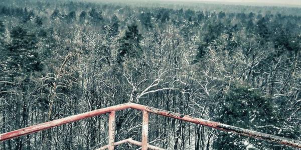 На Виноградарі хочуть відремонтувати славетну Каланчу