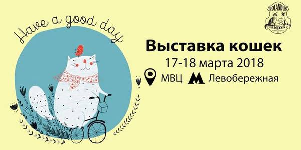 У столиці відбудеться Міжнародна виставка котів