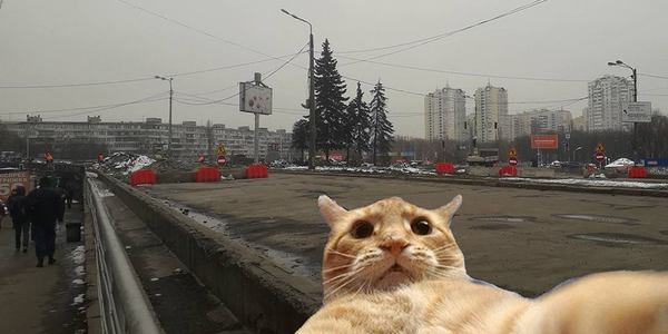 Три автобуси та маршрутка змінили маршрути через капремонт