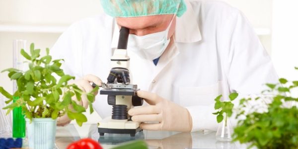 Продукти на вітчизняних прилавках стануть безпечніші