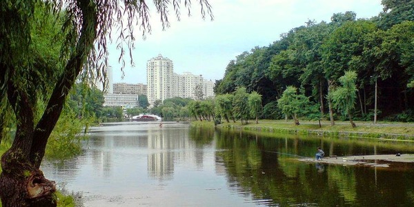 В тіні дерев: секрети  Голосієва