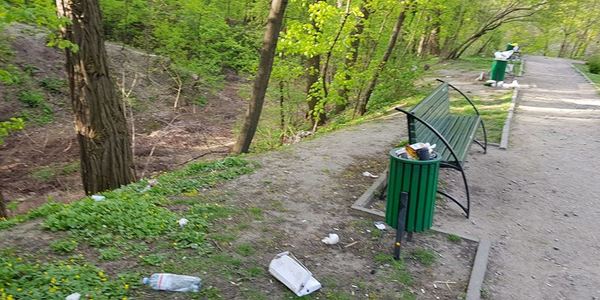 Подивились на магнолії: київський ботанічний сад «потонув» у смітті