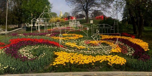 Киянам покажуть два кілометри тюльпанів