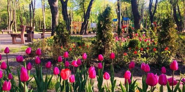 У Сирецькому парку скоро з'являться Велика й Мала ведмедиці, місця для спринту та йоги