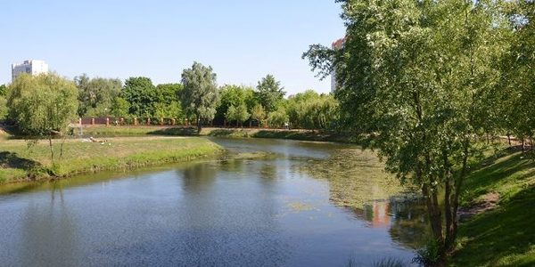 У Києві відновлюють парк на Відрадному масиві
