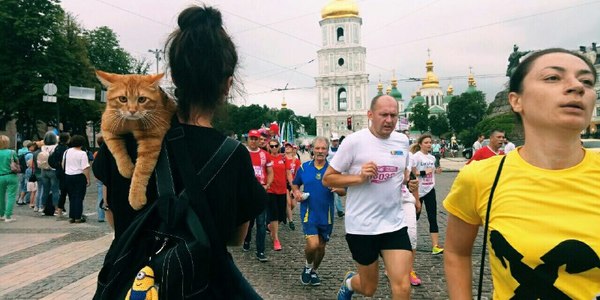 Пробіг під каштанами б'є рекорди: тисячі бігунів, Кличко та цікаві факти