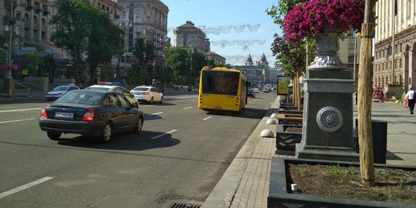 Що буде рости на Хрещатику?