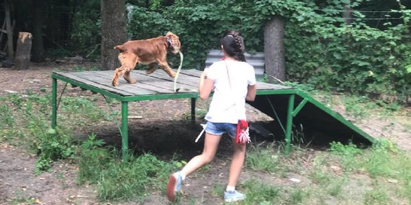У Києві поліцейські вчили юних кінологів