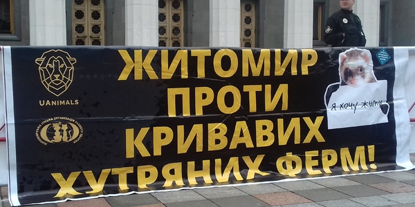 Маленький тхір під Верховною Радою закликав не знущатися над тваринами