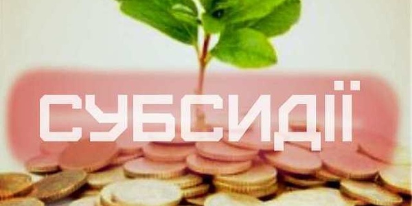 Від звернення за субсидіями - до кримінальної відповідальності: що очікувати від державної допомоги?
