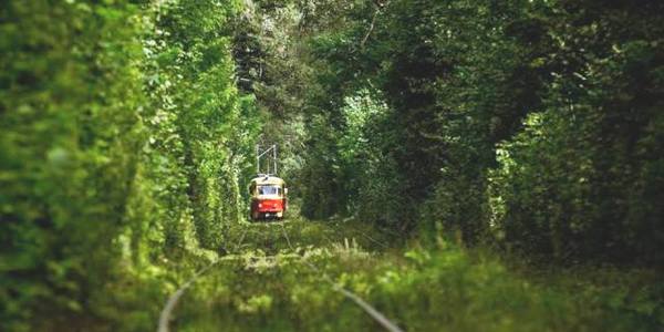 У Києві після ремонту відновлюють роботу трамваї №№ 1,12,17