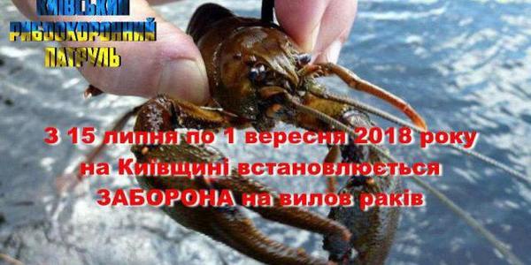 На межі криміналу: що заборонили робити у київських водоймах