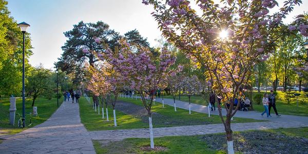 З’явилися яскраві фото оновленого парку Кіото