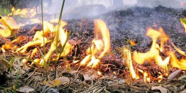 Киян попереджають про небезпеку