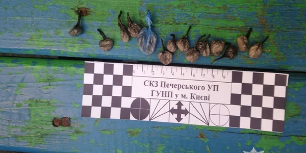 У Печерському районі затримали чоловіка з 14 згортками наркотиків