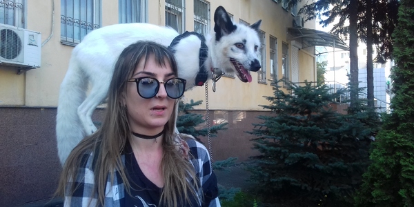 Подивись в очі своїй шубі