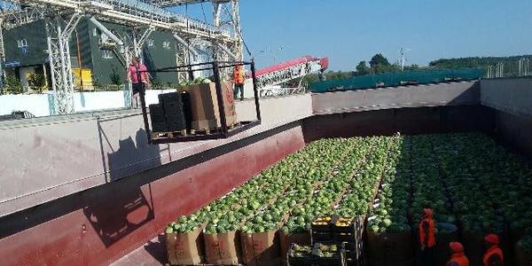 Смугастий рейс: три доби і кавуни у Києві