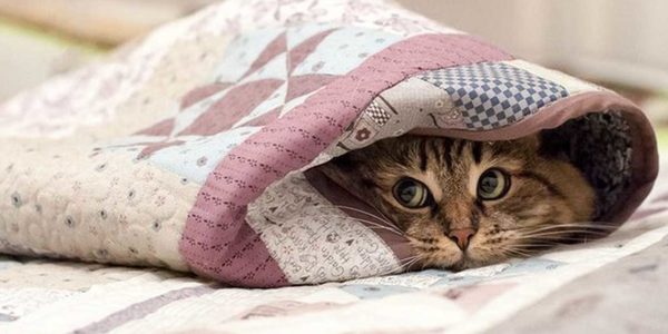 Чому у Києві гаряча вода з’явиться у жовтні, а опалення взагалі під питанням