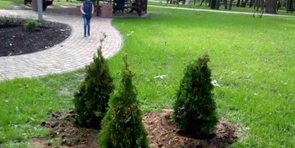 Вандали обікрали Сирецький парк