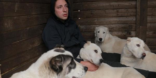 В столичних кінотеатрах показують переможця "Кінотавра"