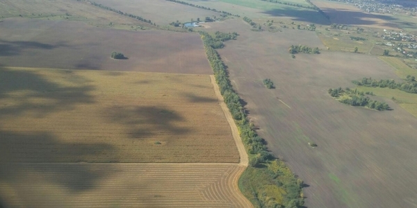 Жінки України володіють на 2 млн га землі більше, ніж чоловіки