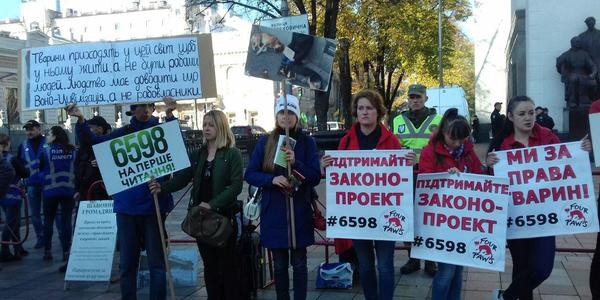 Чи допоможуть депутати беззахисним?