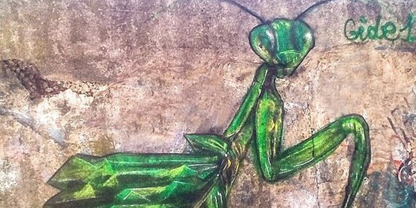 Великий богомол з’явився неподалік Либідської площі