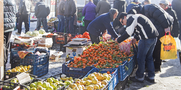 Сезон ярмарків: у Києві розпочалась продажа продукції сільгоспвиробників