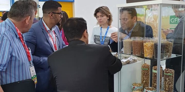 «Медом намазано»: підприємці Києва викликали ажіотаж на продуктовій виставці в Дубаї