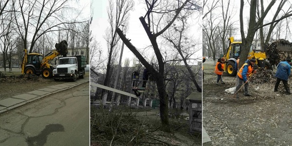 Сніг розтанув - зійшло сміття: вулиці розчищають від минулорічного листя