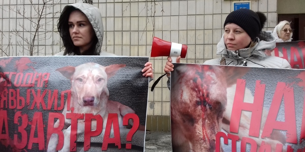 Як столичний живодер намагається втекти від відповідальності