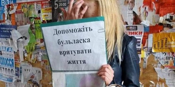 Сумнівна благодійність: як не стати жертвою шахраїв