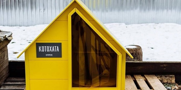 Київські чотирилапі отримають комфортабельні хатинки