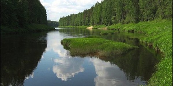 Чистий парк і чистий берег: весь Київ збирається на толоки