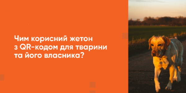 Як знайти чотирилапого друга, якщо він загубився: все про реєстр тварин та жетони з QR-кодом