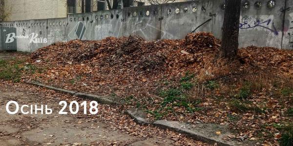Двори на Дорогожичах завалюють листям зі сміттям