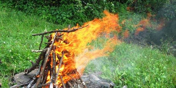 Як не спалити ліс під час відпочинку: рятувальники попередили про небезпеку