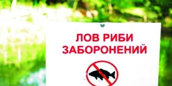 На Київщині до 21 червня заборонили ловити рибу на річці Рось