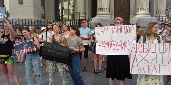 Під Адміністрацією Президента вимагали припинити знущання над тваринами