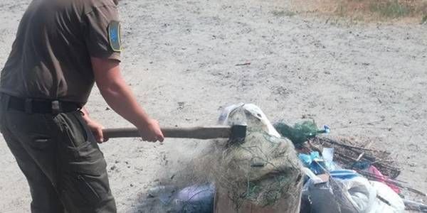 Під Києвом порубали сокирою 6 кілометрів сіток