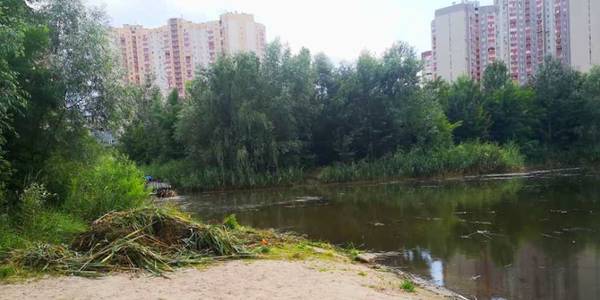 На озеро Жандарка на Дарниці завели труксори й вигрібають болото